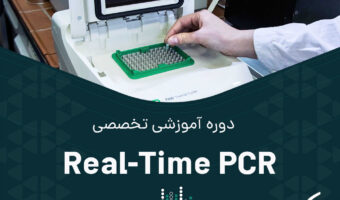 Real-Time-PCR-site