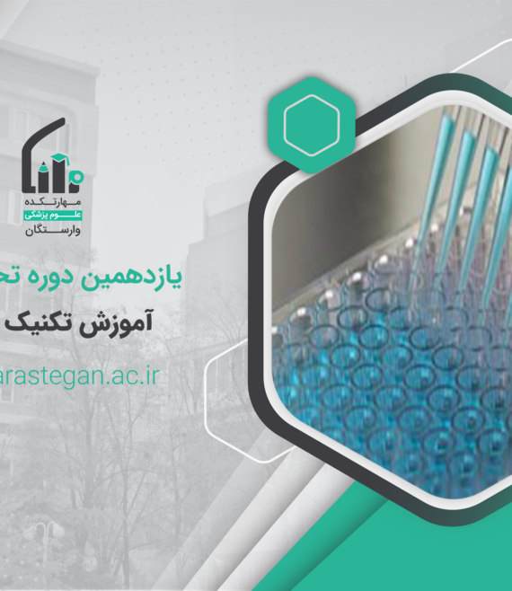 الایزا کد 11