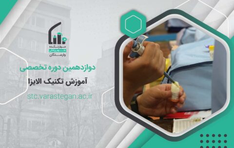 سایت1