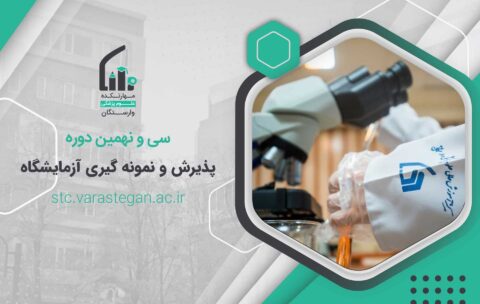 طرح سایت