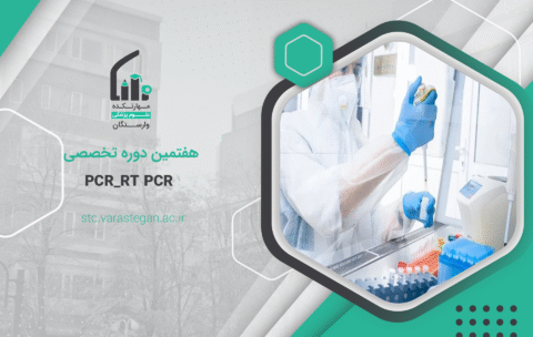 PCR
