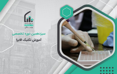 سیزدهمین دوره الایزا